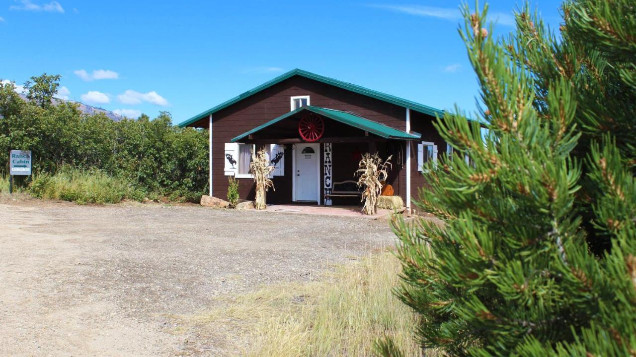 Ranch Mountain Cabin, Stunning! Campfire, Hiking Monticello Extérieur photo