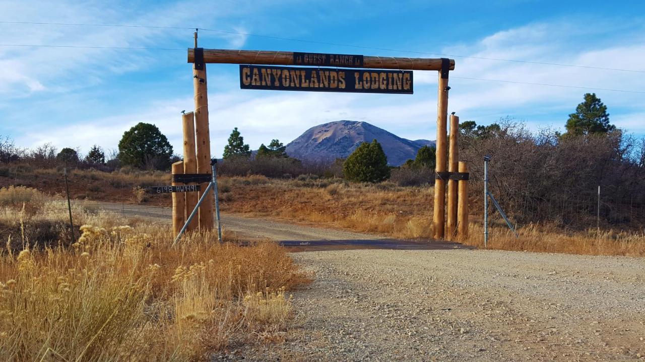 Ranch Mountain Cabin, Stunning! Campfire, Hiking Monticello Extérieur photo