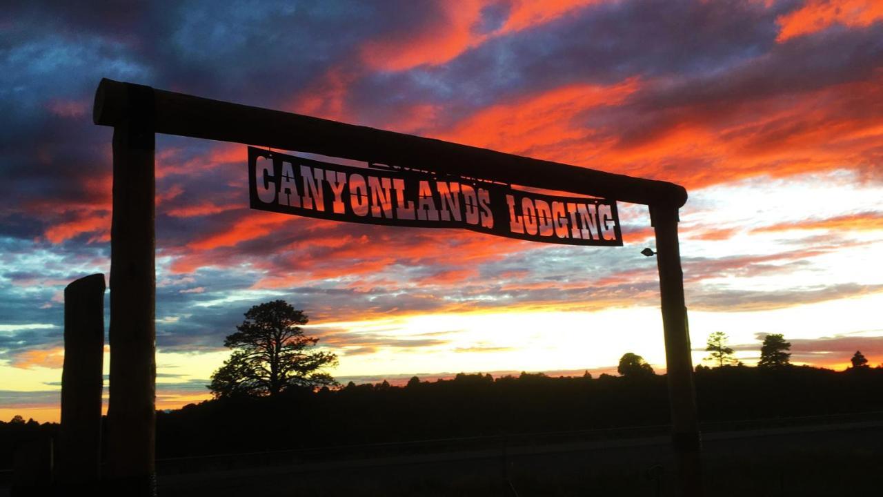 Ranch Mountain Cabin, Stunning! Campfire, Hiking Monticello Extérieur photo